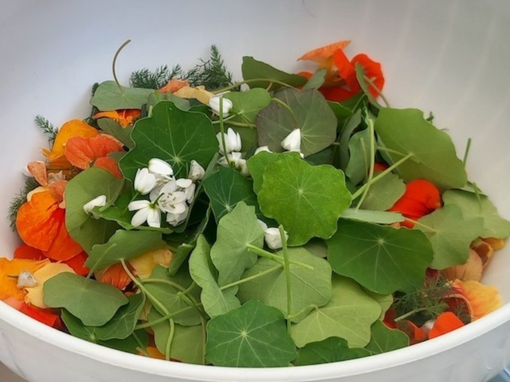 Insalata di misticanza e fiori edibili