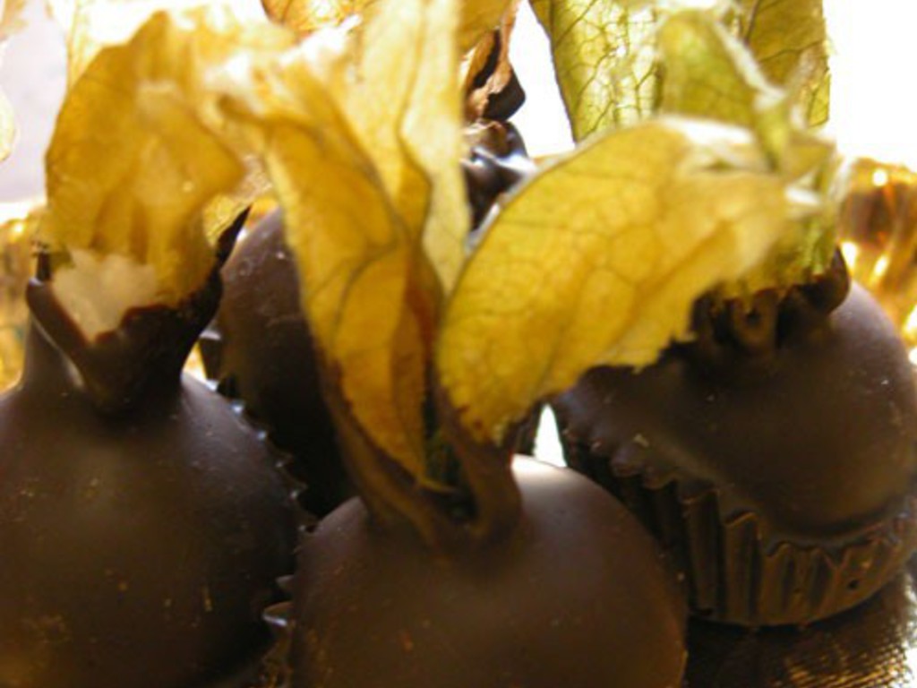 Alchechengi - Kikingeri ricoperti di cioccolato