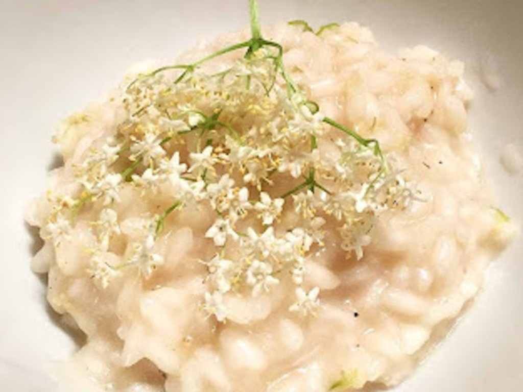 Risotto all' infuso di sambuco e limone
