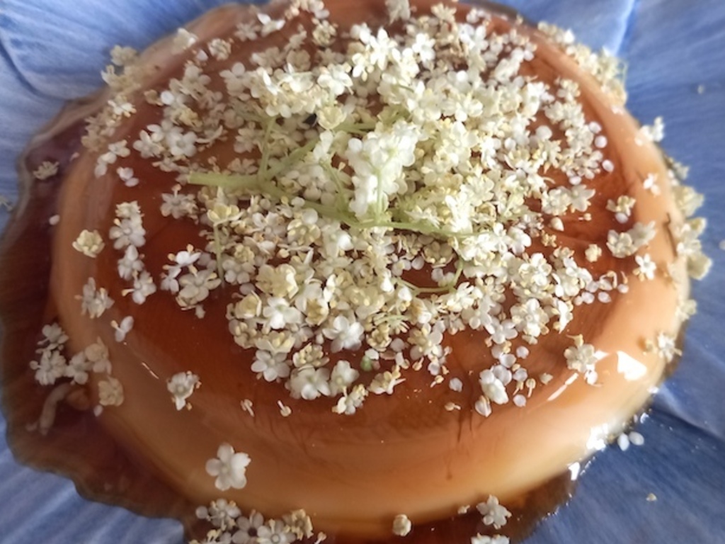 Panna cotta al sambuco