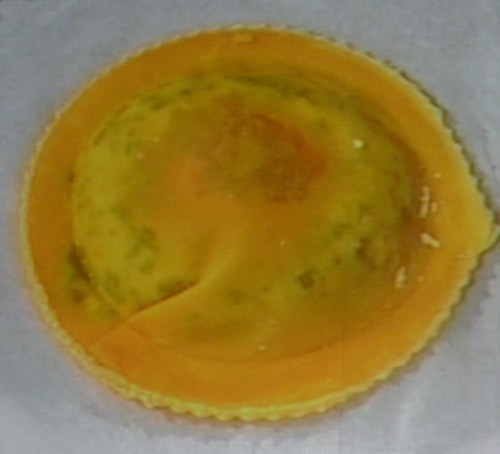 Passaggio 4