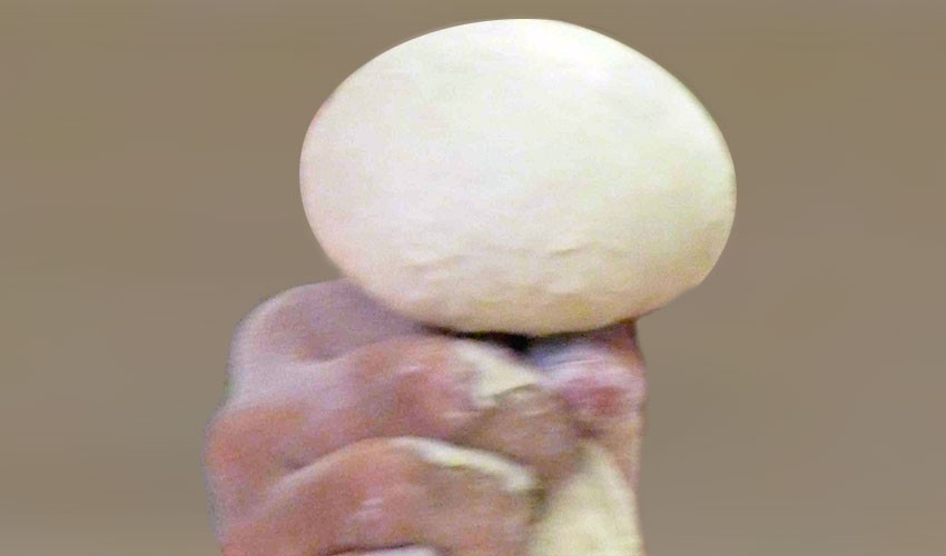 Passaggio 5